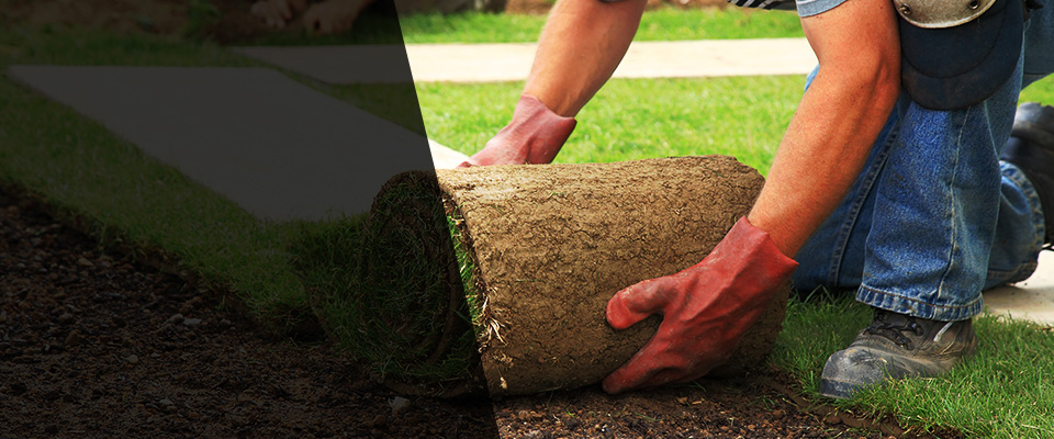Glen Carbon Landscapers